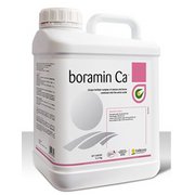 Boramin Ca Λίπασμα Ασβέστιο και βόριο με L- αμινοξέα 1lit